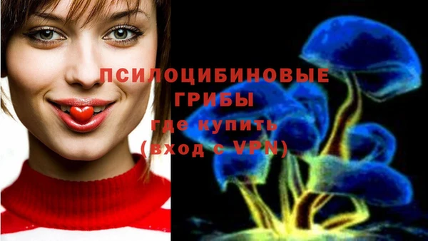 круглые Иннополис