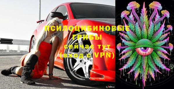 круглые Инсар