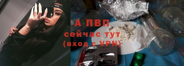 тгк Инта