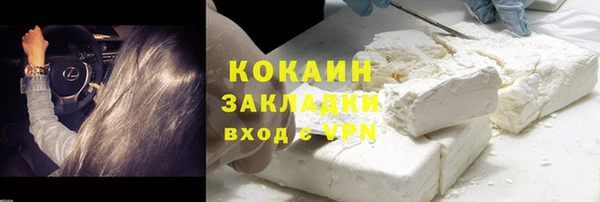 тгк Инта