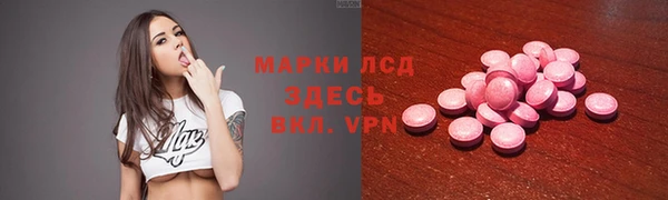 тгк Инта