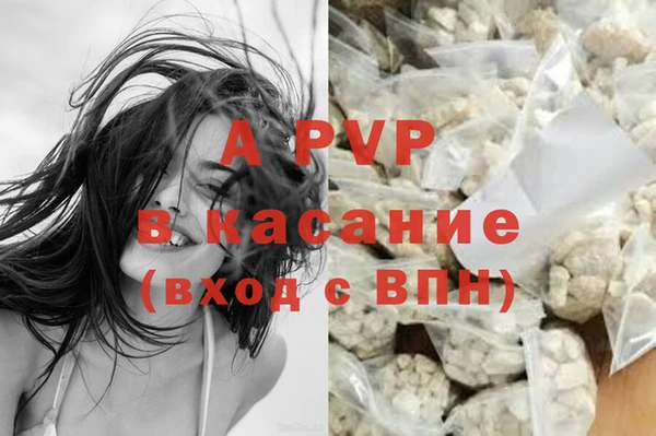 круглые Иннополис
