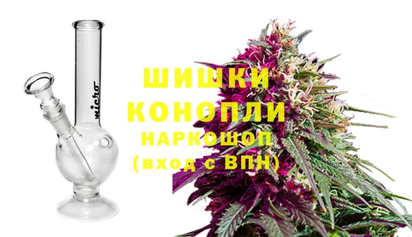 тгк Инта