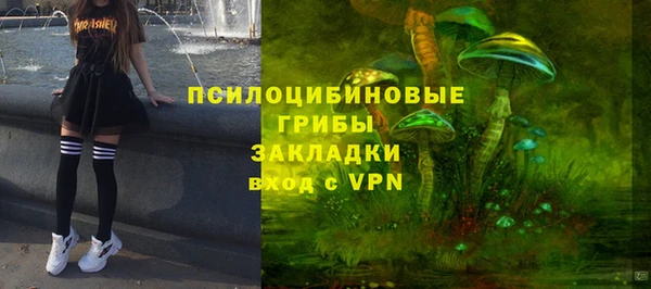 круглые Иннополис
