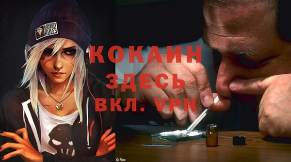 тгк Инта
