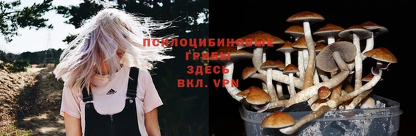 круглые Инсар